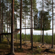 Illustration for article titled These Buildings Were All Built Around Trees